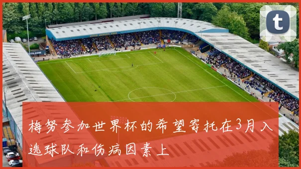 梅努参加世界杯的希望寄托在3月入选球队和伤病因素上