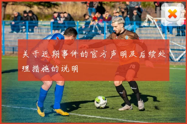 关于近期事件的官方声明及后续处理措施的说明